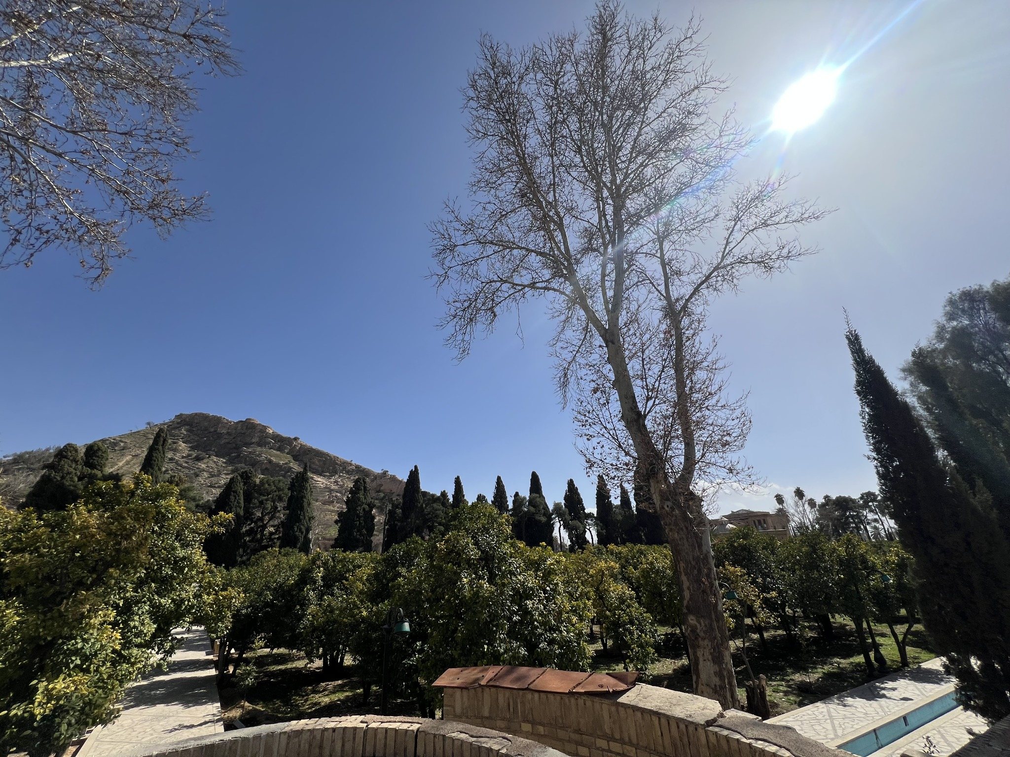 باغ دلگشا – 2025_03_01_14_03_IMG_2959