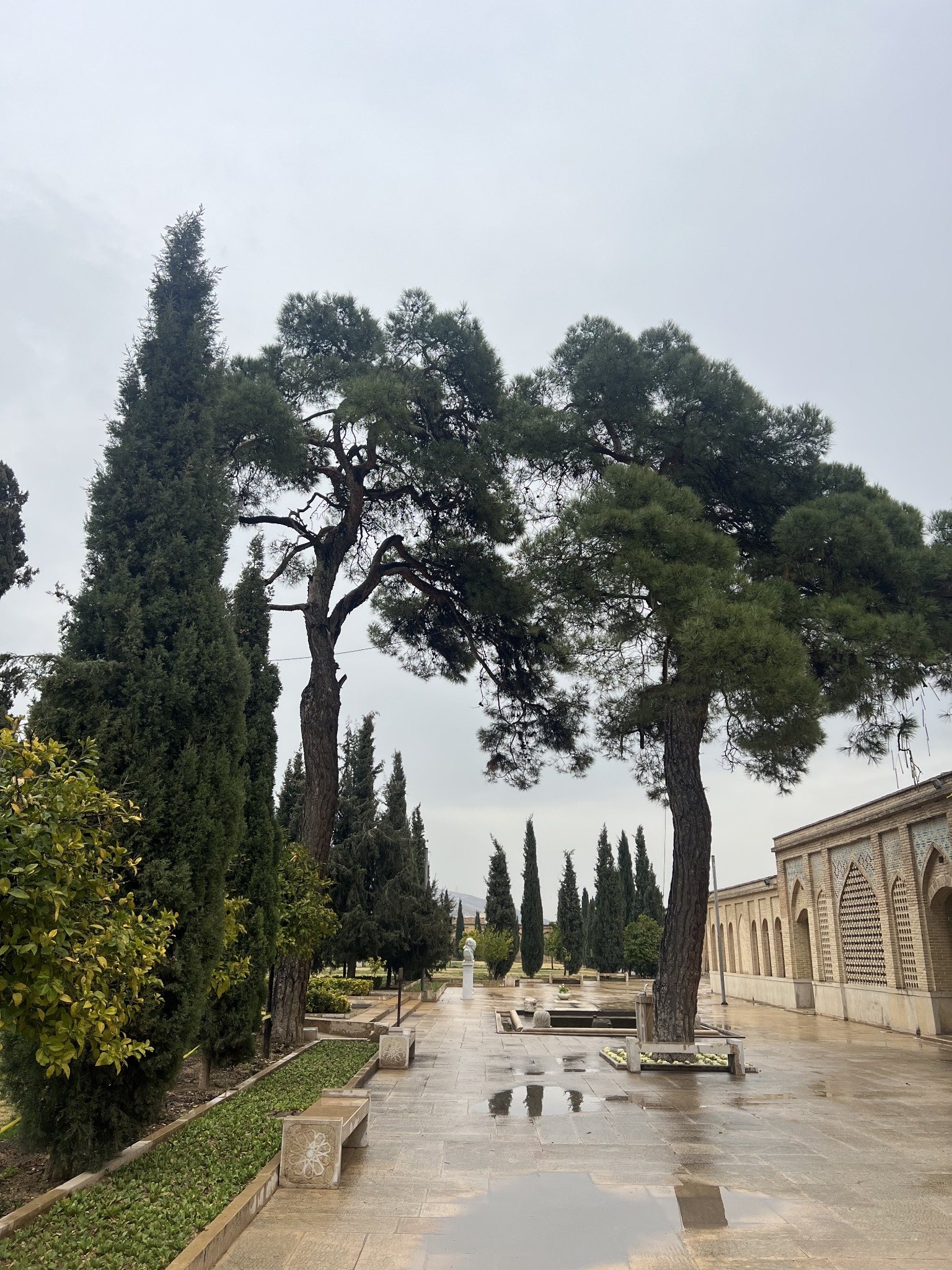 باغ جهاننما – 2025_02_23_14_24_IMG_2354