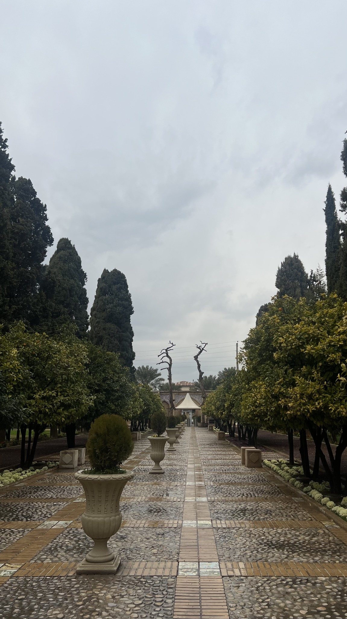 باغ جهان‌نما – 2025_02_23_14_50_IMG_2536(1)